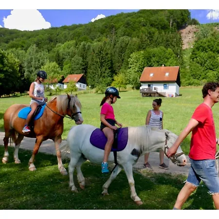 Mansion In With Shared Pool Holiday home Starkov (Hradec Kralove)
