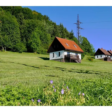 Mansion In With Shared Pool * Stárkov